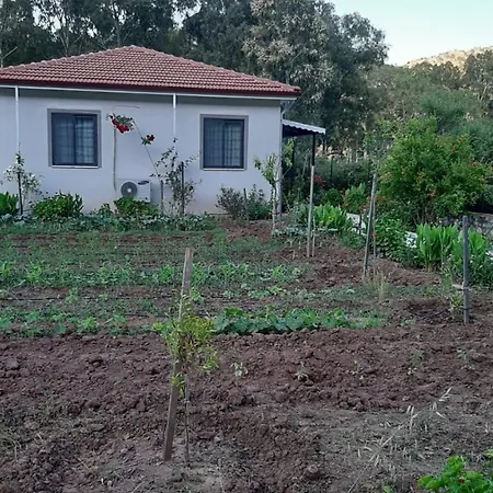 Villa Uslu Hause Tatil Evleri Turgutkoy